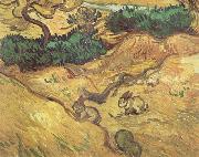 Vincent Van Gogh Field with Two Rabbits (nn04) oil painting reproduction